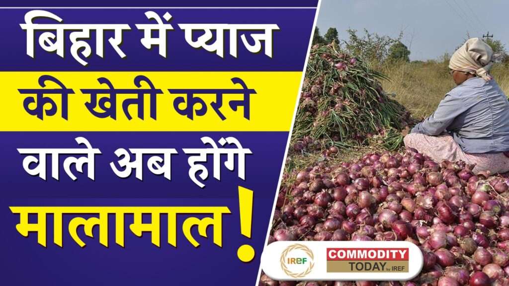 Good News for Onion Farmers in Bihar Government Schemes to Boost Profits