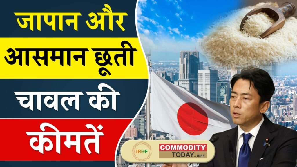 Shinjiro Koizumi New Hope in Japan’s Rice Crisis