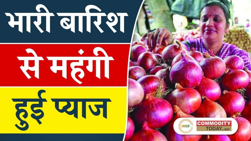 Heavy Rains in Maharashtra Onion Prices Increased by 20%