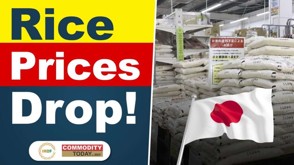 Japan Rice Prices Drop After Weeks of Increases