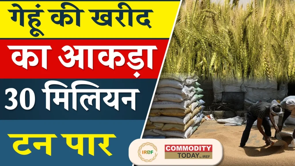 Rajasthan Lifts Centre’s Wheat Purchase to 4-Year High