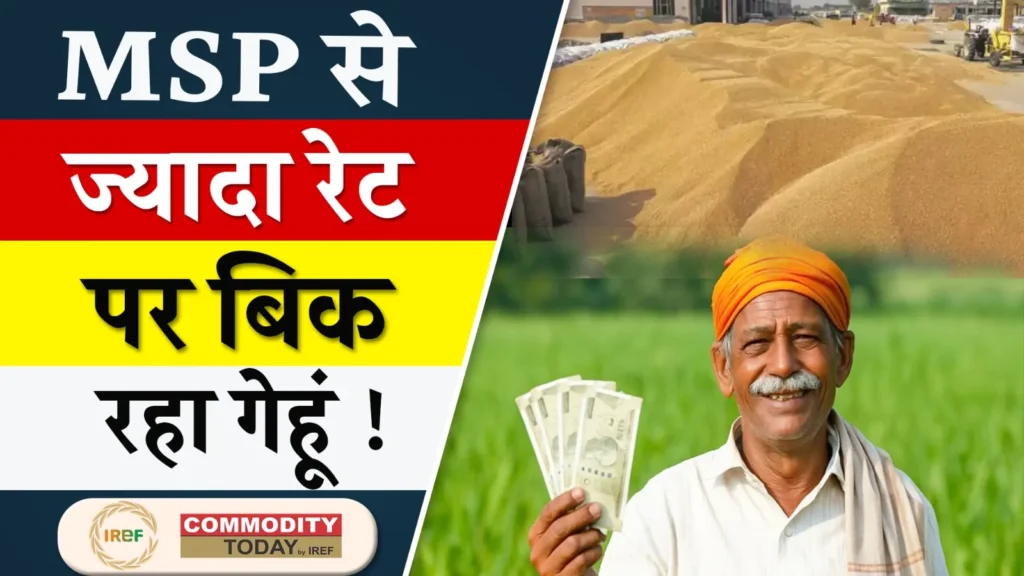 Wheat Price in Some States are Higher than MSP
