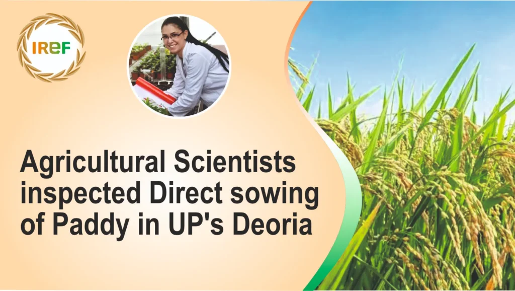 Agricultural Scientists inspected the Direct Sowing of Rice in UP's Deoria