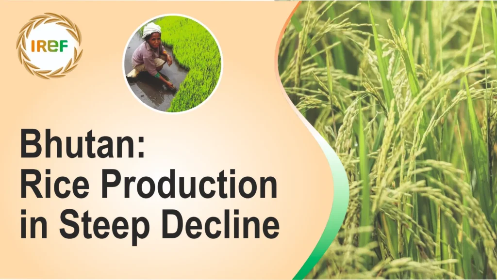 Bhutan Rice production in steep decline 