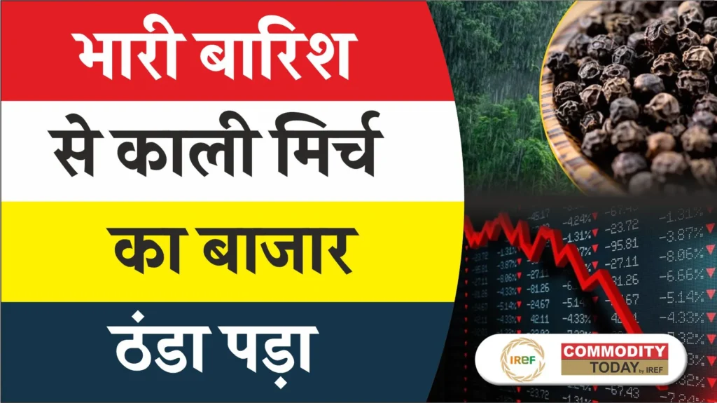 Black Pepper Demand Hit by Adverse Weather Conditions