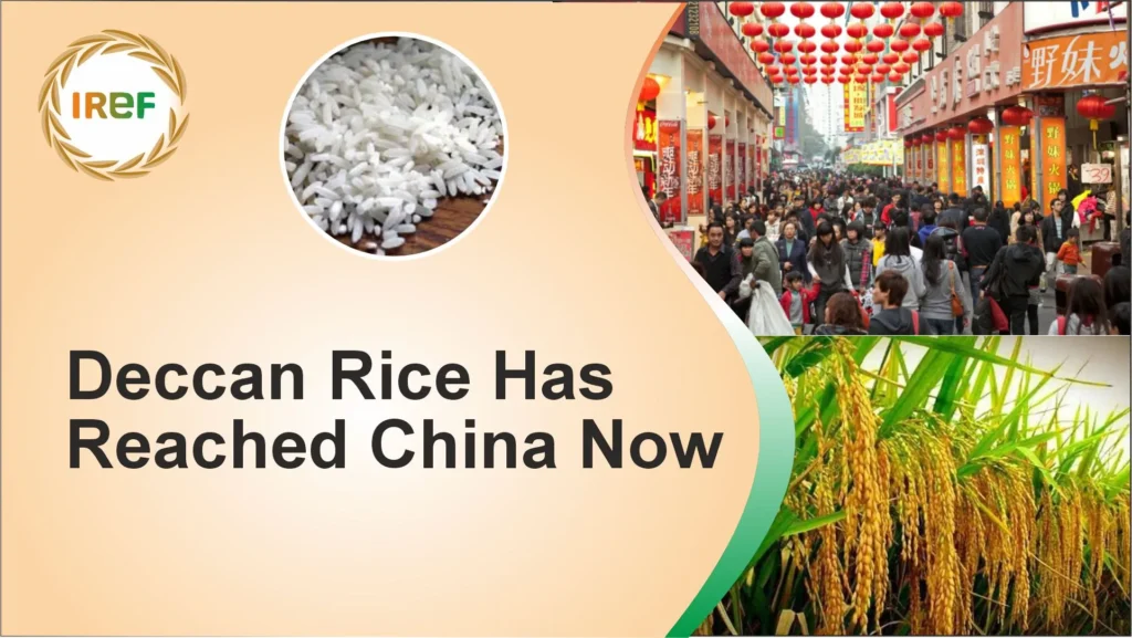 Deccan Rice Has Reached China Now
