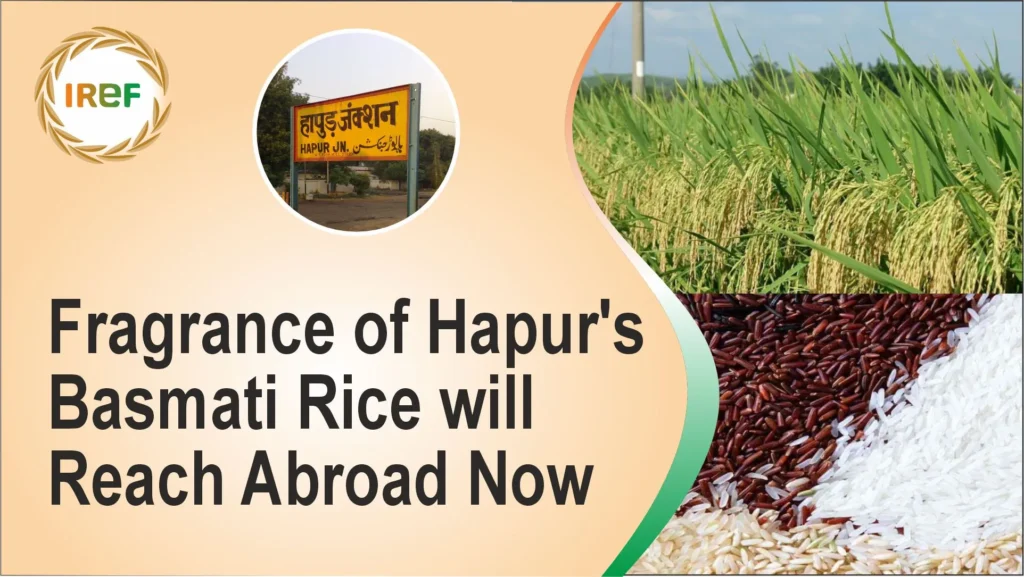 Fragrance of Hapur's Basmati Rice will Reach Abroad Now