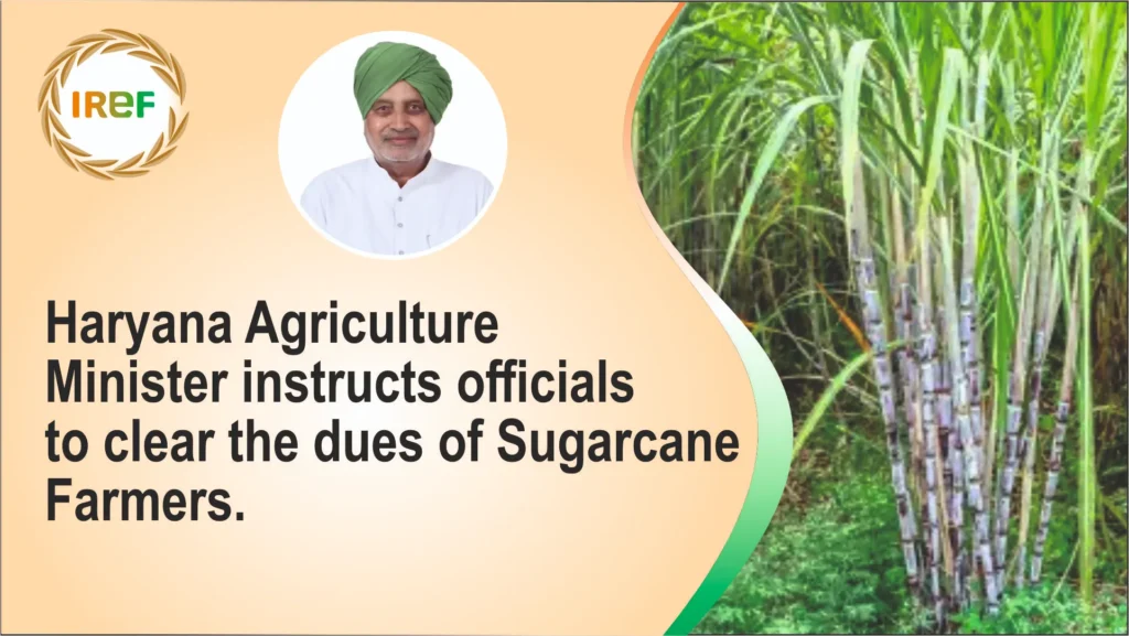 Haryana Agri Minister instructs officials to clear dues
