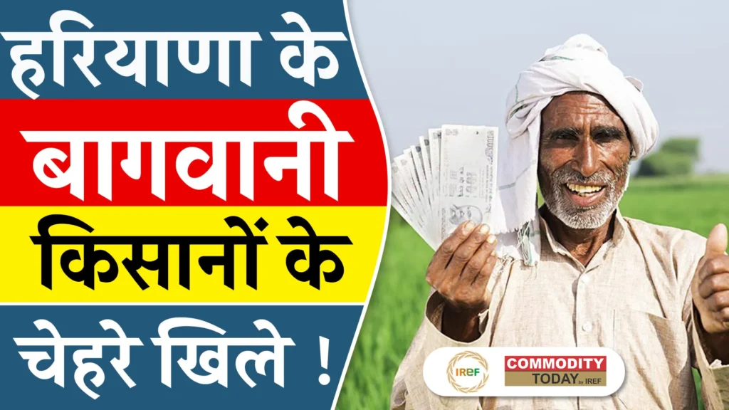 Haryana Govt. Extends Date for Horticulture Crop Insurance Scheme