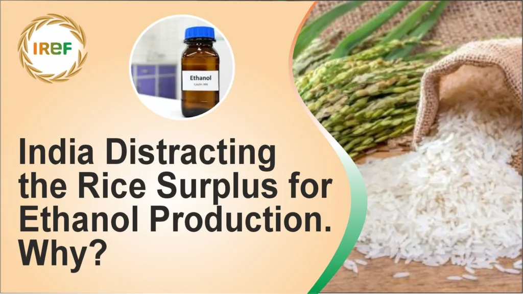 India Distracting the Rice Surplus for Ethanol Production. Why