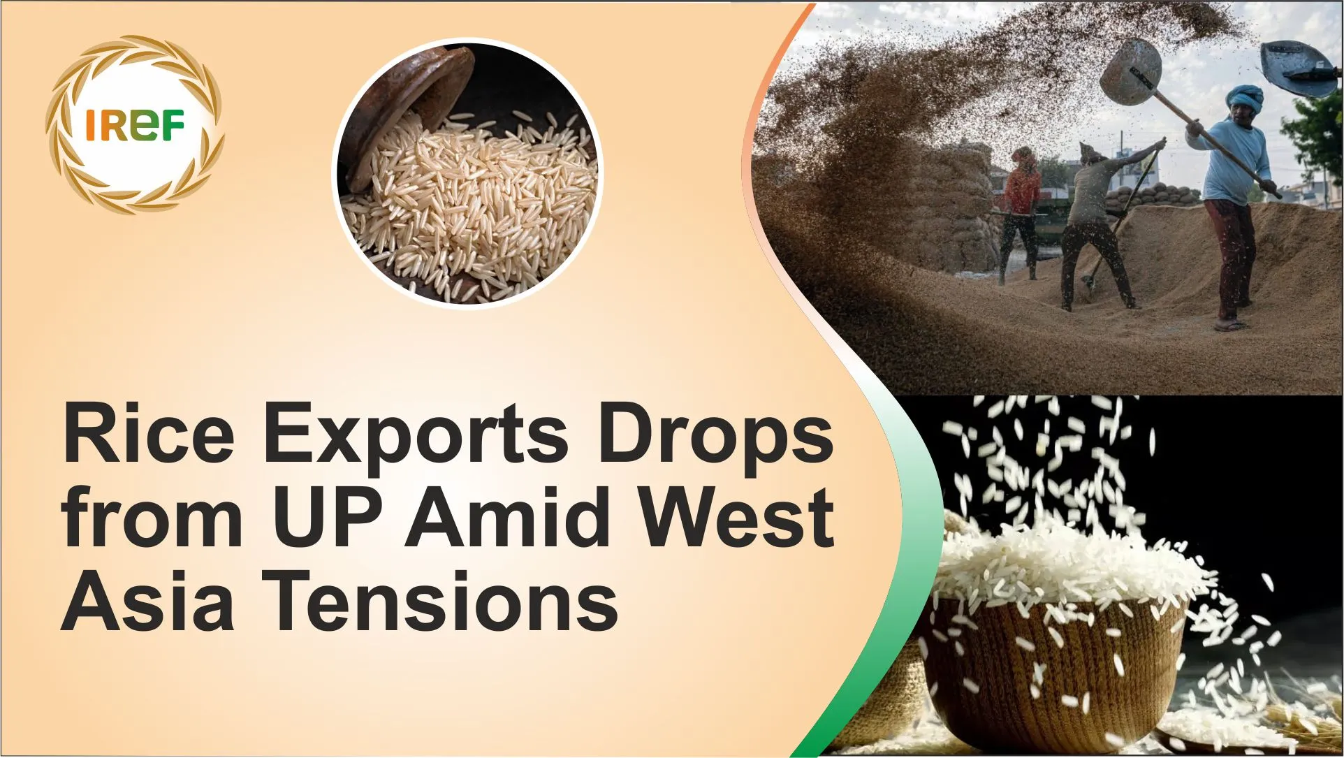 Rice Exports from UP drop amid West Asia Tensions, impacting Farmers ...