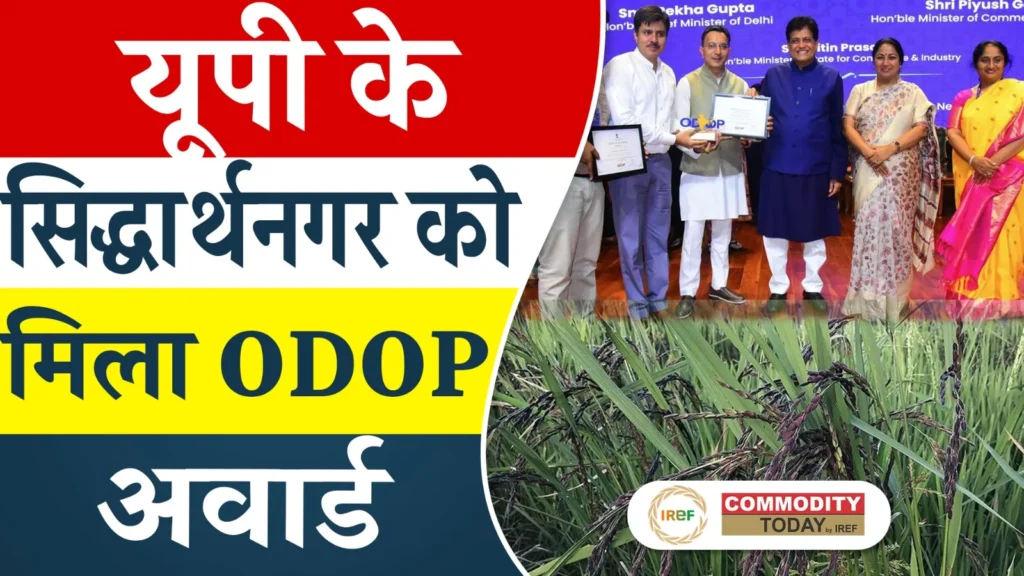 Siddharthnagar, UP Receives Award for Kalanamak Rice