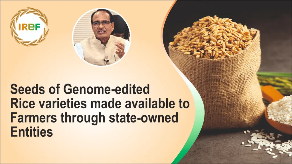 The Seeds of Genome-edited rice varieties made available to Farmers through state-owned entities