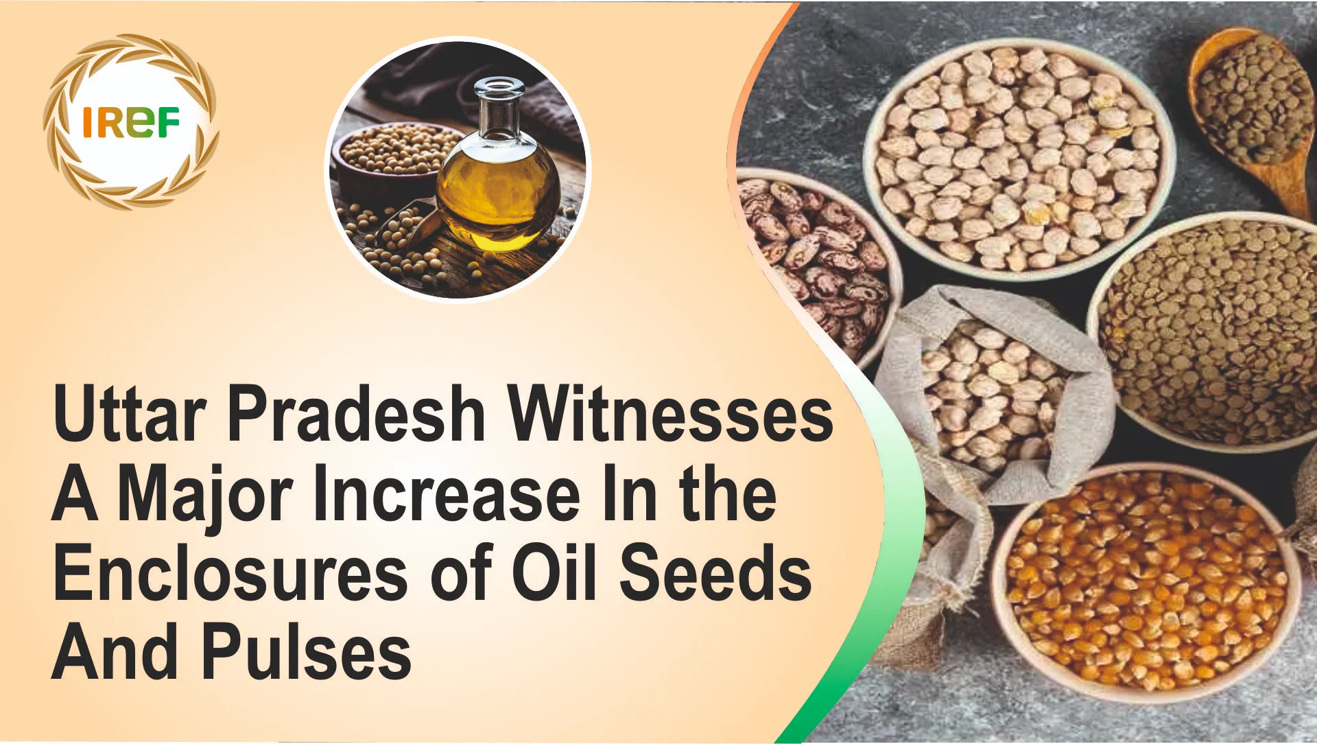 Uttar Pradesh Witnesses A Major Increase In The Enclosures Of Oil Seeds ...