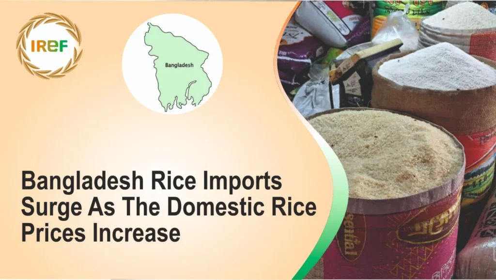 Bangladesh Rice Imports Surge As The Domestic Rice Prices Increase