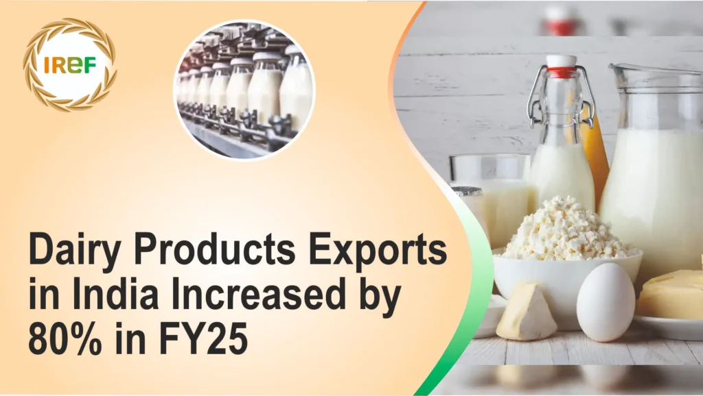 Dairy Products Exports in India Increased by 80% in FY25