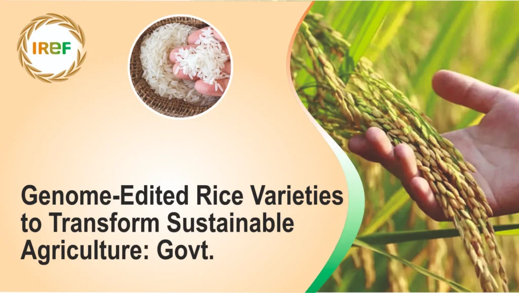 Genome-Edited Rice Varieties to Transform Sustainable Agriculture: Govt.