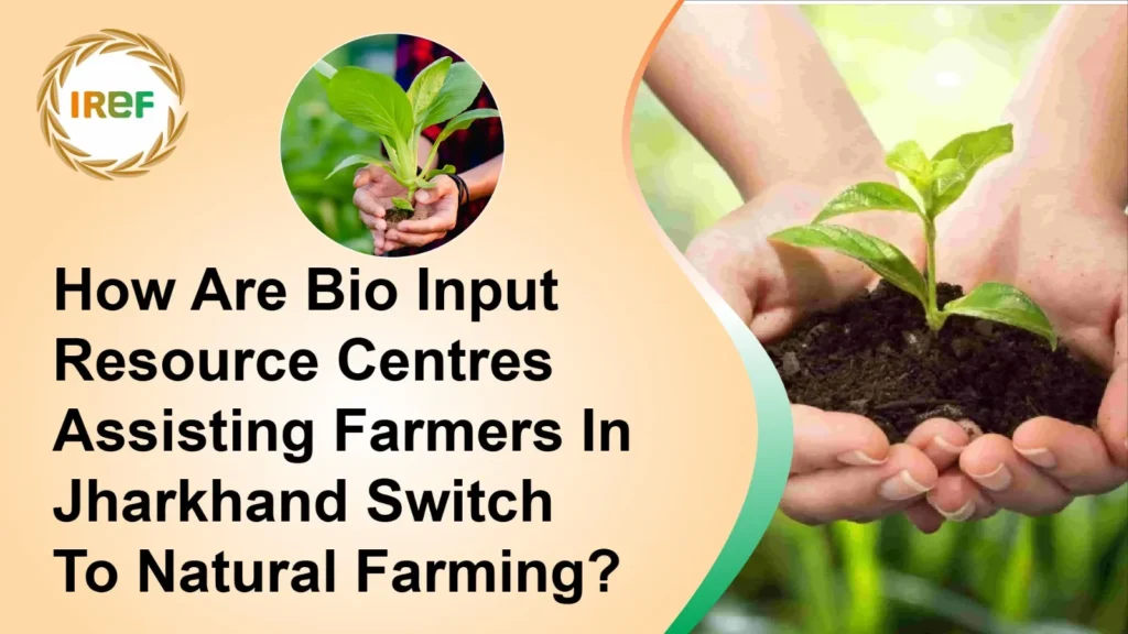 How Are Bio Input Resource Centres Assisting Farmers In Jharkhand Switch To Natural Farming