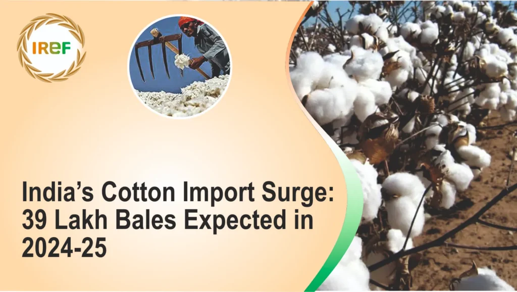 India’s Cotton Imports Surge 39 Lakh Bales Expected in 2024-25