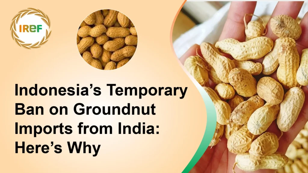 Indonesia’s Temporary Ban on Groundnut Imports from India Here’s Why