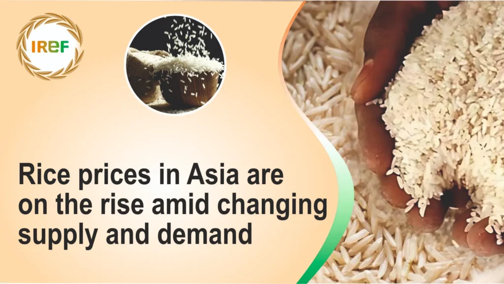 Rice prices in Asia are on the rise amid changing supply and demand