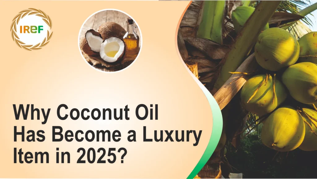 Why Coconut Oil Has Become a Luxury Item in 2025