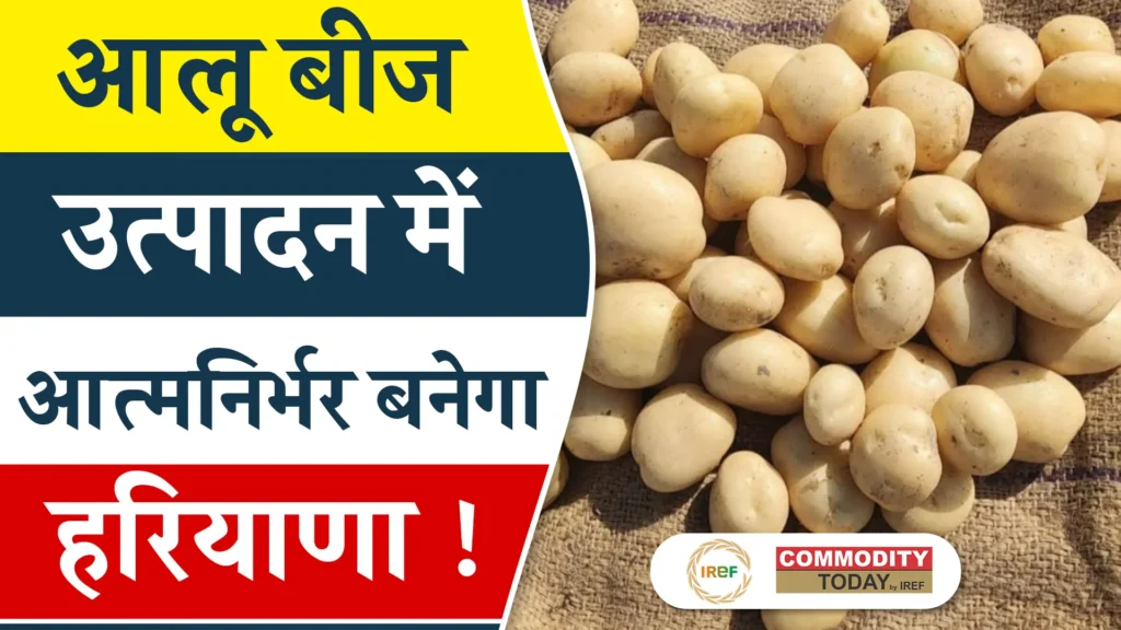 International Potato Centre Partners with Haryana Govt. to Produce High Quality Potato Seed