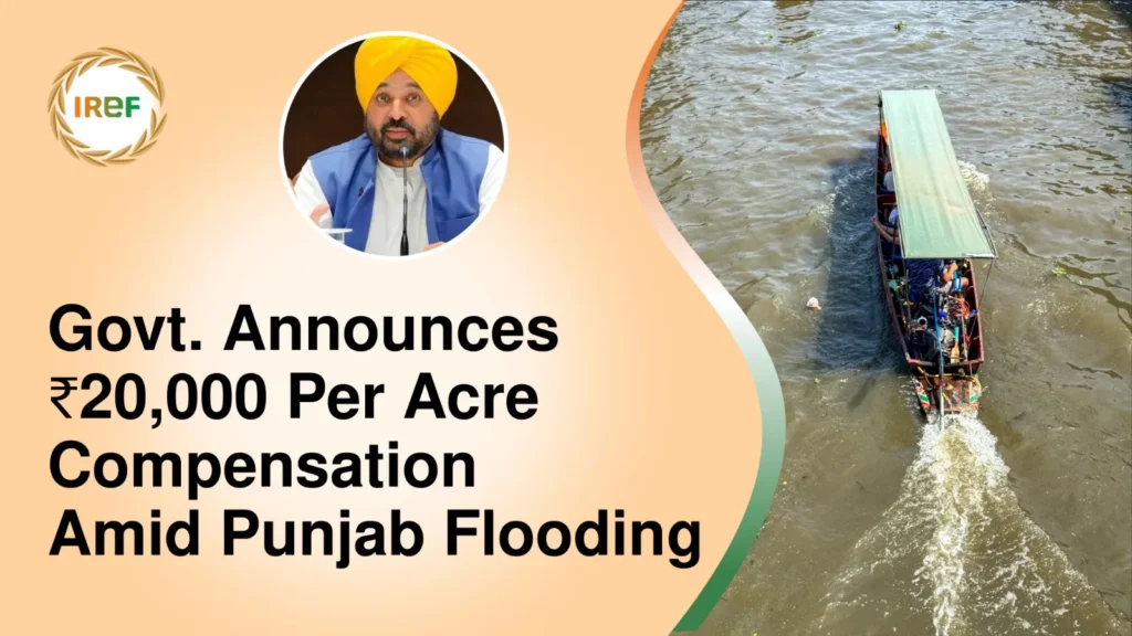 AAP Govt Announces ₹20,000 Per Acre Compensation Amid Punjab Flooding