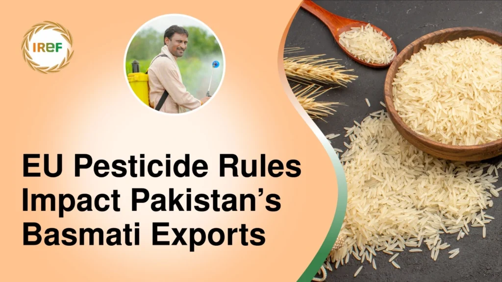 EU Pesticide Rules Impact Pakistan’s Basmati Exports