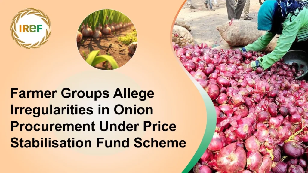 Farmer Groups Allege Irregularities in Onion Procurement Under Price Stabilisation Fund Scheme