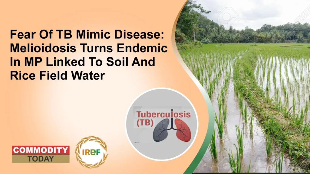 Fear Of TB Mimic Disease Melioidosis Turns Endemic In MP Linked To Soil And Rice Field Water