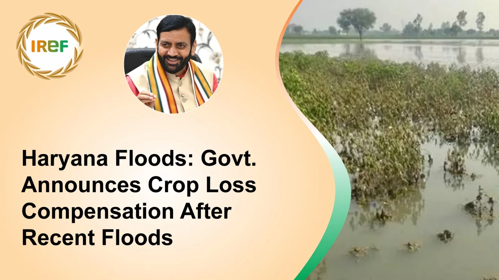 Haryana Floods: Govt. Announces Crop Loss Compensation After Recent Floods