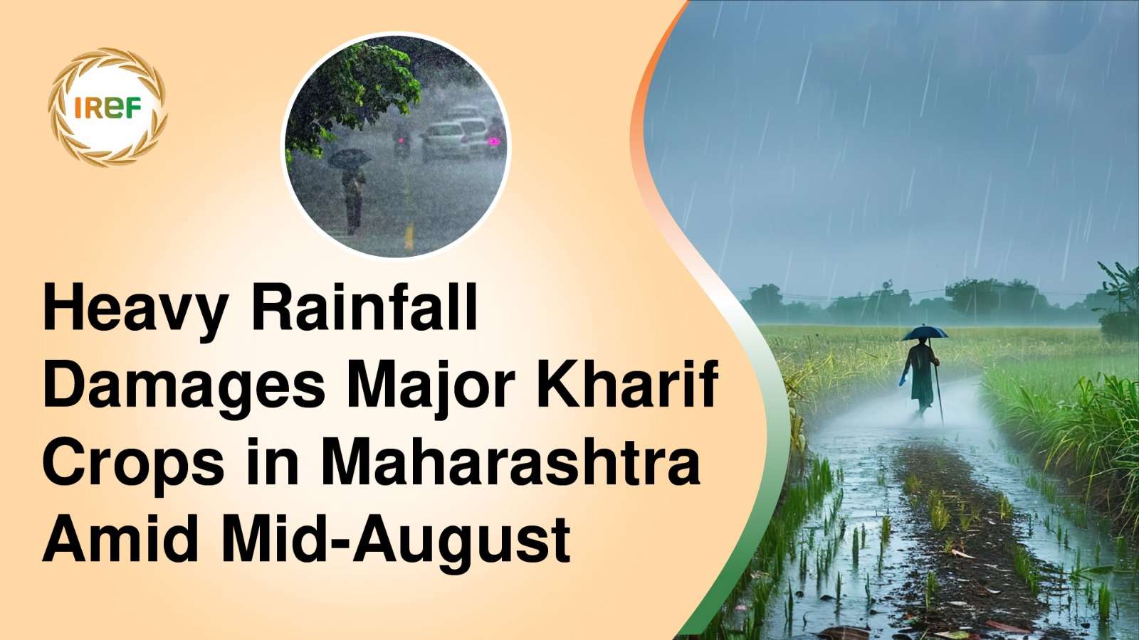 Heavy Rainfall Damages Major Kharif Crops in Maharashtra Amid Mid-August