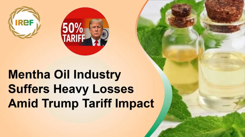 Mentha Oil Industry Suffers Heavy Losses Amid Trump Tariff Impact