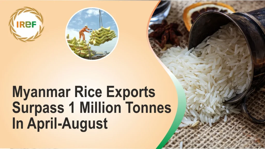 Myanmar rice exports surpass 1 million tons in April-August