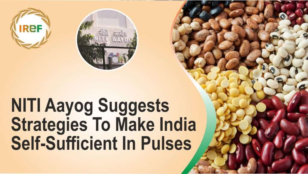 NITI Aayog Suggests Strategies To Make India Self-Sufficient In Pulses