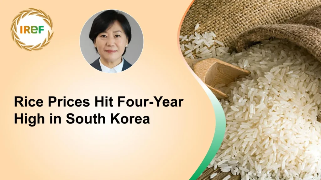 Rice Prices Hit Four-Year High in South Korea