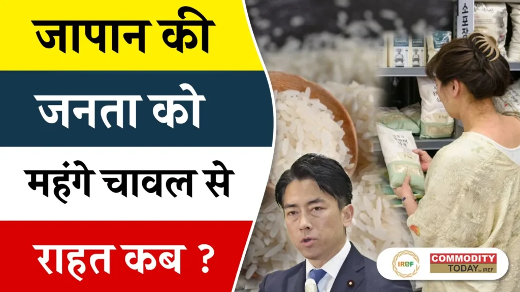 Rice Prices in Japan at its 13-Week High