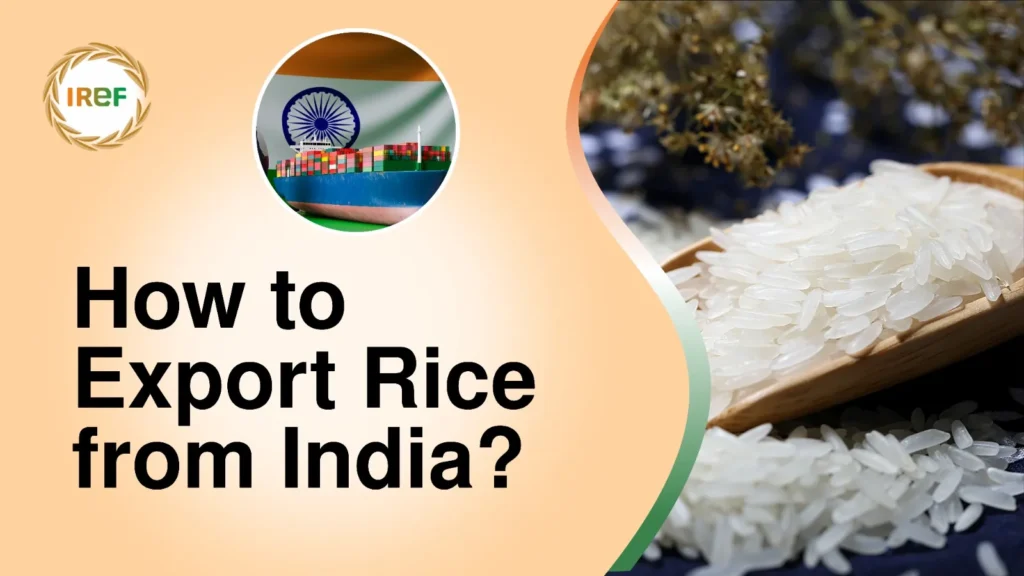 What is the Rice Export Procedure in India