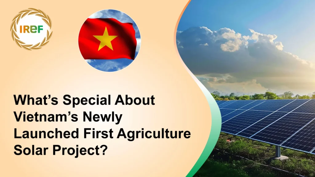 What’s Special About Vietnam’s Newly Launched First Agriculture Solar Project