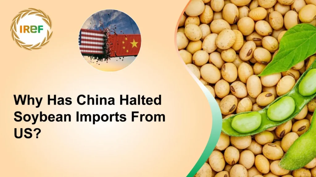 Why Has China Halted Soybean Imports From US