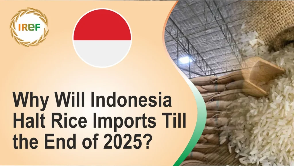 Why Will Indonesia Halt Rice Imports Till the End of 2025