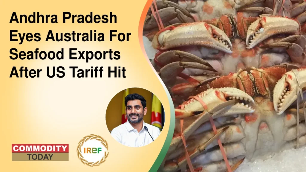 Andhra Pradesh Eyes Australia For Seafood Exports After US Tariff Hit