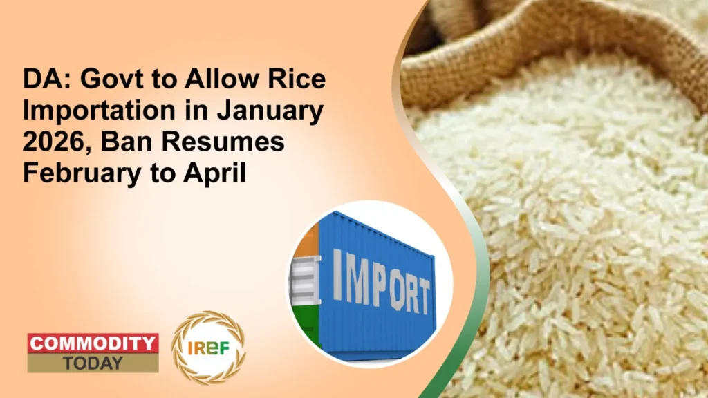 DA Govt to Allow Rice Importation in January 2026, Ban Resumes February to April