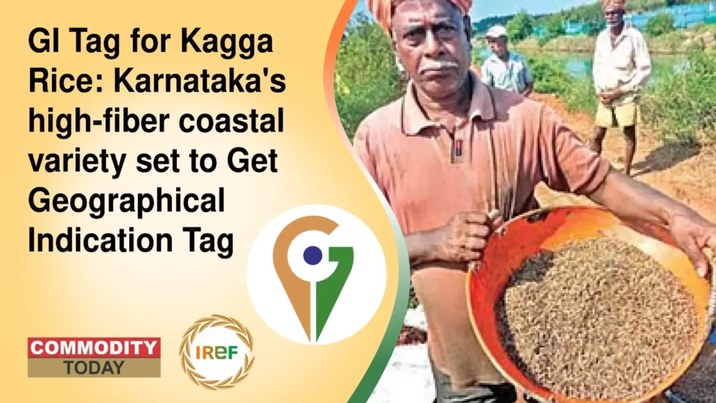 GI Tag for Kagga Rice Karnataka's high-fiber coastal variety set to Get Geographical Indication Tag