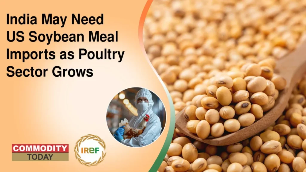 India May Need US Soybean Meal Imports as Poultry Sector Grows