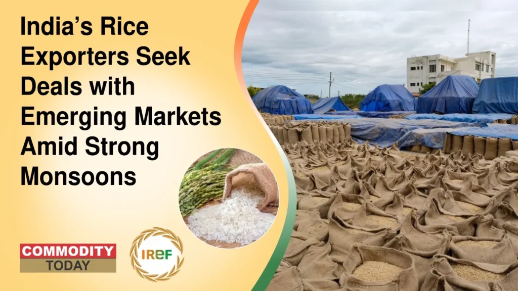 India’s Rice Exporters Seek Deals with Emerging Markets Amid Strong Monsoons
