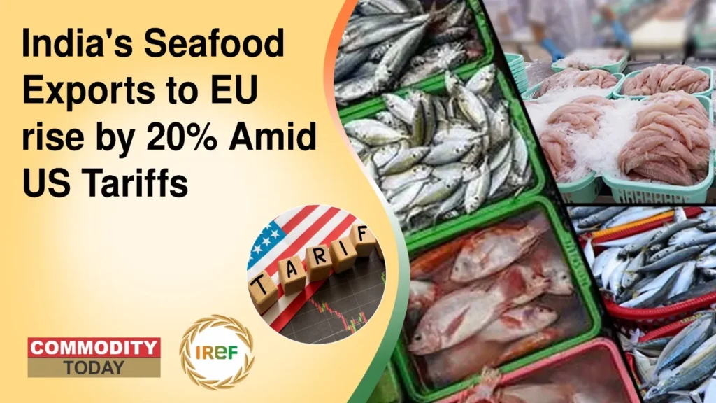 India's Seafood Exports to EU rise by 20% Amid US Tariffs
