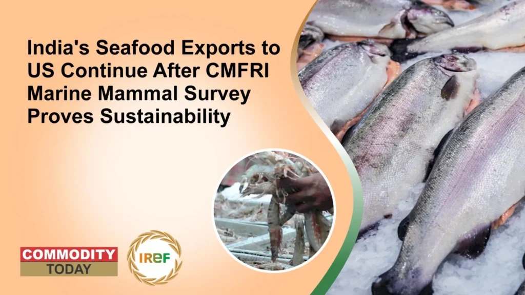 India's Seafood Exports to US Continue After CMFRI Marine Mammal Survey Proves Sustainability
