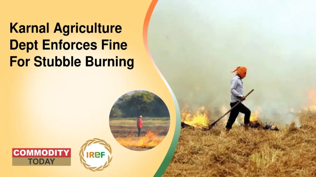 Karnal Agriculture Dept Enforces Fine For Stubble Burning